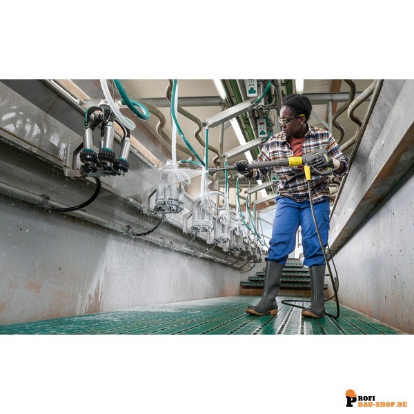 kaercher/Kaercher_16999310_5