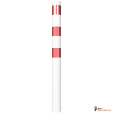 schake/Schake_491B_3D2